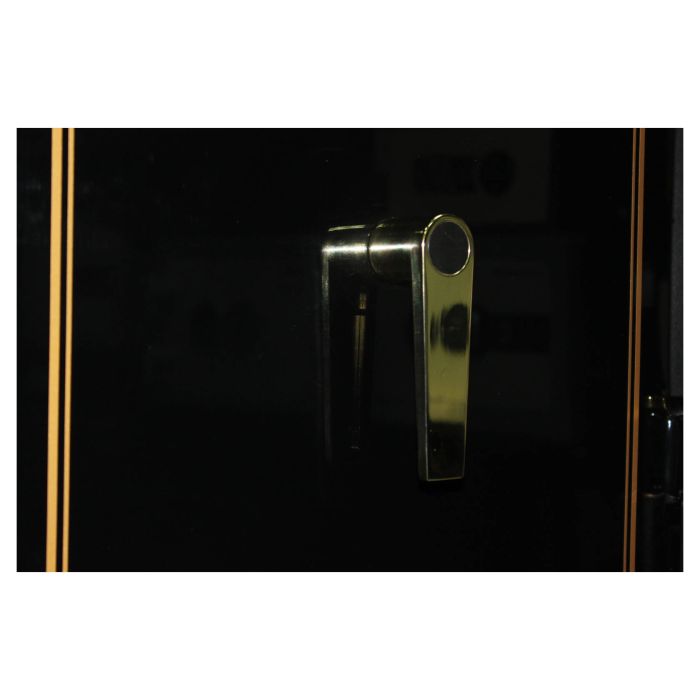 G.160.E Gloss Gold · Сейф для зброї (фото 4)